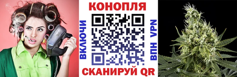 Купить Alpha PVP  БУТИРАТ  ГАШИШ  МЕФ  АМФ  Псилоцибиновые грибы  Саянск