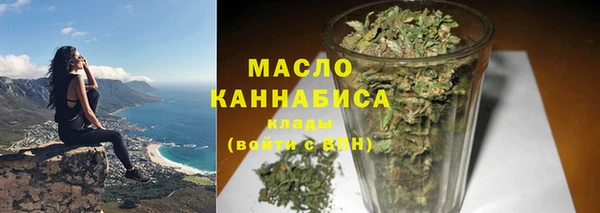 шишки Дмитриев