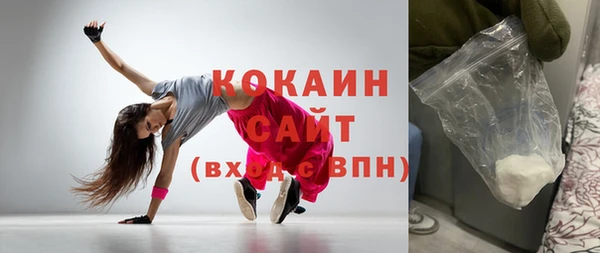 шишки Дмитриев