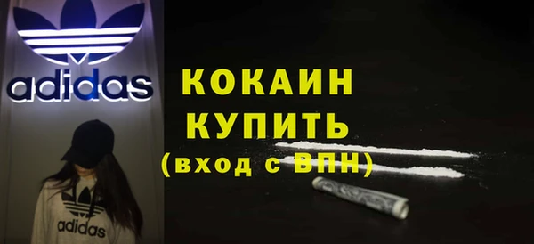 шишки Дмитриев