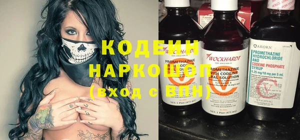 шишки Дмитриев