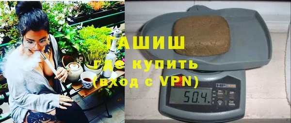 шишки Дмитриев