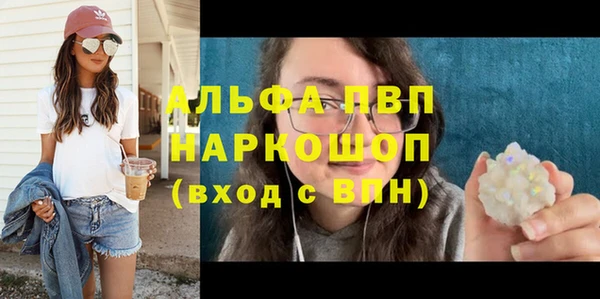 шишки Дмитриев