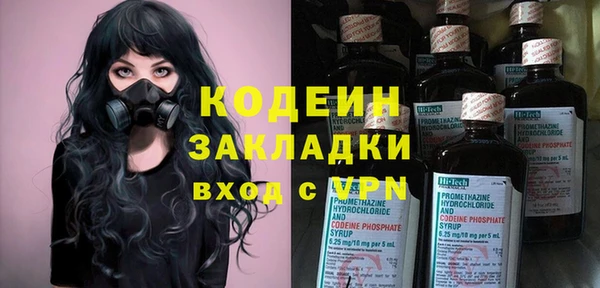 шишки Дмитриев