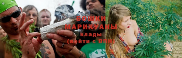 шишки Дмитриев