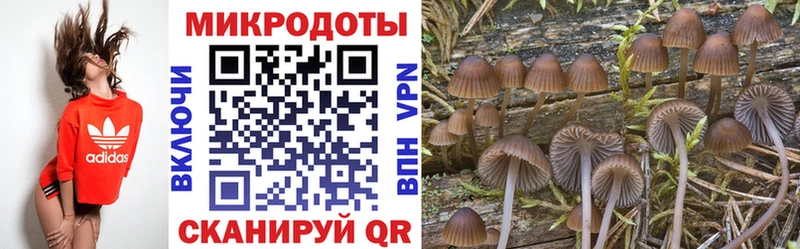 Купить  Саянск  Галлюциногенные грибы GOLDEN TEACHER 